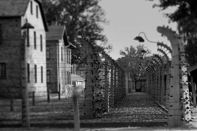 Auschwitz Birkenau Transfer and Guide with Salt Mine Combo Option - Birkenau: larger space, heavier meaning