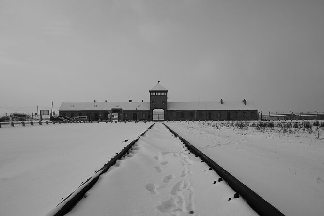 Auschwitz Birkenau Transfer and Guide with Salt Mine Combo Option - Guides and drivers: what consistently makes this day easier