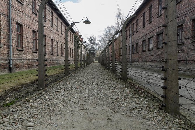 Auschwitz-Birkenau & Wieliczka in one day (Guided tour) - The Emotional Pace and Practical Reality at Birkenau