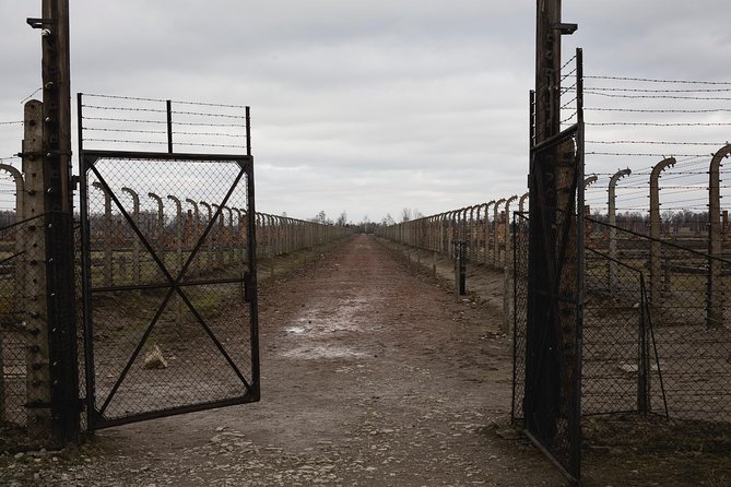 Auschwitz-Birkenau & Wieliczka in one day (Guided tour) - Price and Value at $156: What You Pay For, and What to Double-Check