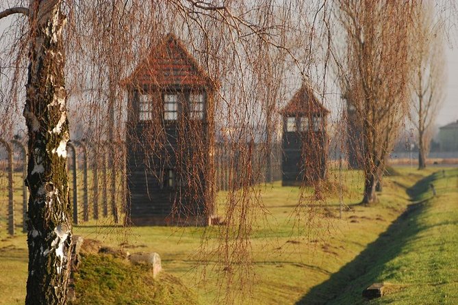 Auschwitz Guided Tour - The Guide Factor: Commentary That Changes the Visit