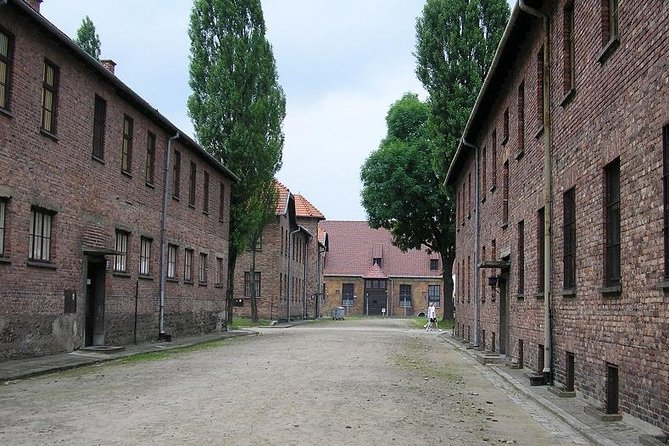 Auschwitz Guided Tour - Birkenau (About 1 Hour on a Different Scale): The 2.5 km Shift
