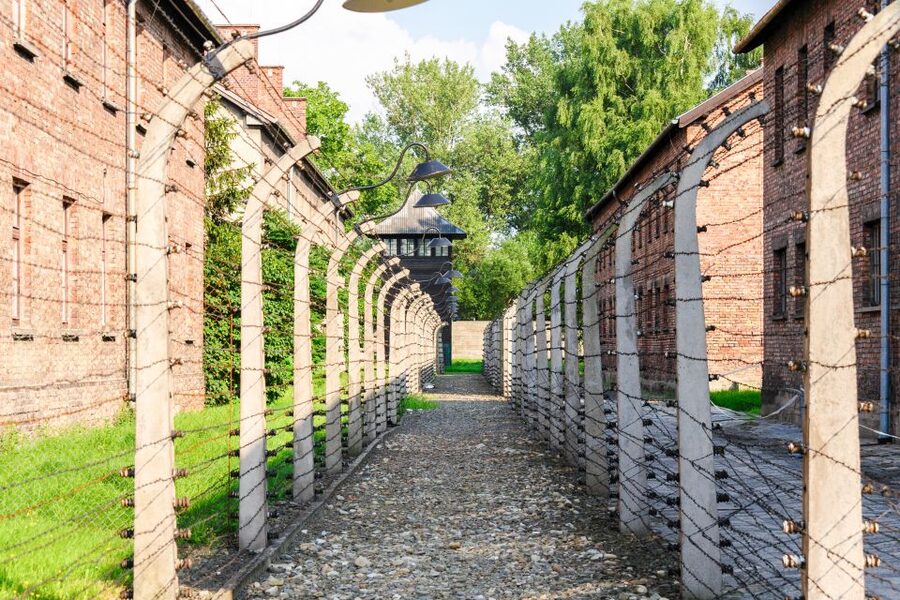 Auschwitz Ticket and Full-Day Tour from Krakow - Auschwitz II-Birkenau: extermination camp grounds with a guide you can hear