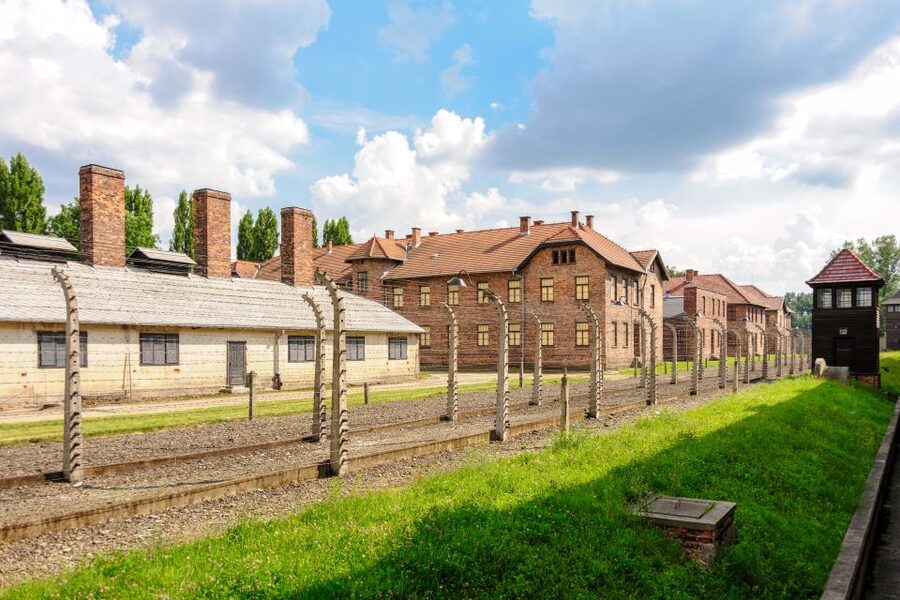 Auschwitz Ticket and Full-Day Tour from Krakow - Lunch break and time to process what you just saw