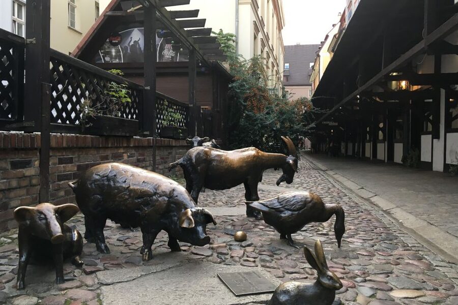 Best of Wroclaw 3-Hour History and Culture Walking Tour - The medieval streets in between: the “how to look” part