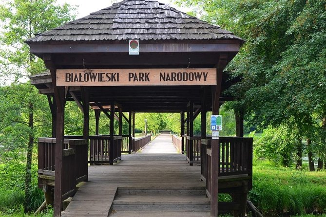 Bialowieza National Park Small Group Tour from Warsaw with Lunch included - European Bison Reservation: Quick Views and a Monday Closure