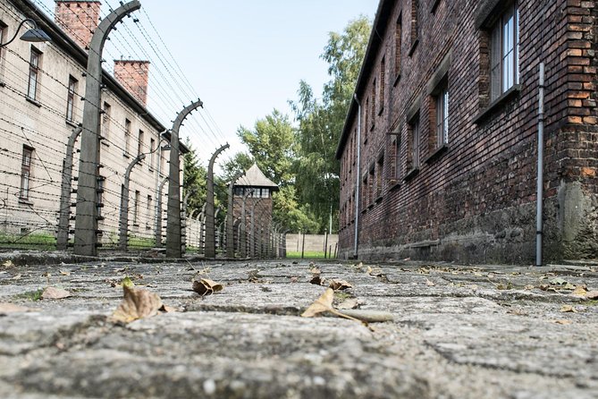 Combined: Auschwitz Birkenau and Salt Mine private chauffeur from Krakow - Auschwitz-Birkenau camp: guided meaning, plus headphones that actually help