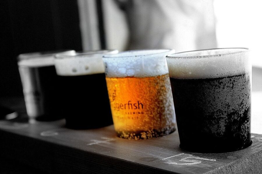 DAILY Beer Tasting Private Guided Tour at Best Warsaw Pubs - The $179 value question, answered honestly