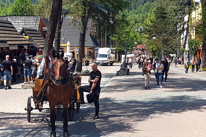 Day Tour to Zakopane and Tatra Mountains from Krakow - Krupówki Street Free Time: Where You Decide the Pace