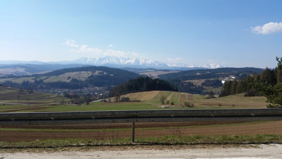 Dunajec River Gorge Rafting and Tree Top Walk from Krakow - Key highlights to look for