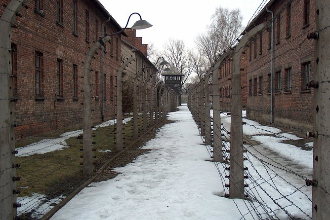 Exclusive Small Group Auschwitz-Birkenau Guided Tour from Krakow - Pacing, Breaks, and the Real Timing of the Day