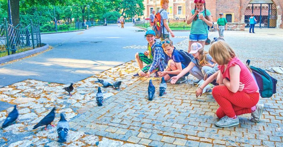 Family Tour of Krakow Old Town with Sweets Factory & Cruise - Wawel Hill Dragon quest: the legend moment that turns sightseeing into a game