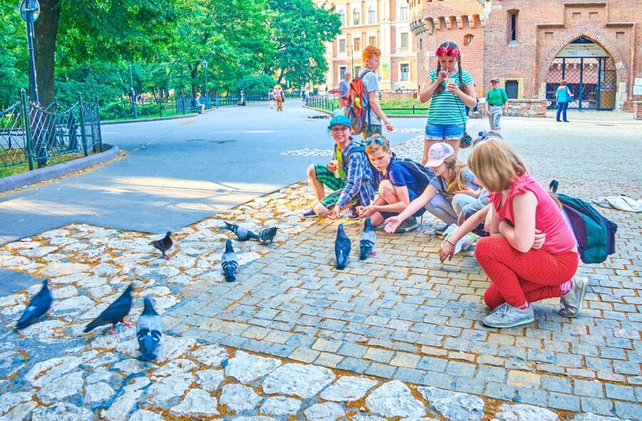 Family Tour of Krakow Old Town with Sweets Factory & Cruise - Old Town landmarks you’ll actually remember: Cloth Hall, St Mary’s trumpet, and the Town Hall Tower