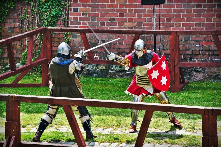 From Gdansk: Malbork Castle Half-Day Private Tour - The guided castle visit, plus audio that helps you not get lost