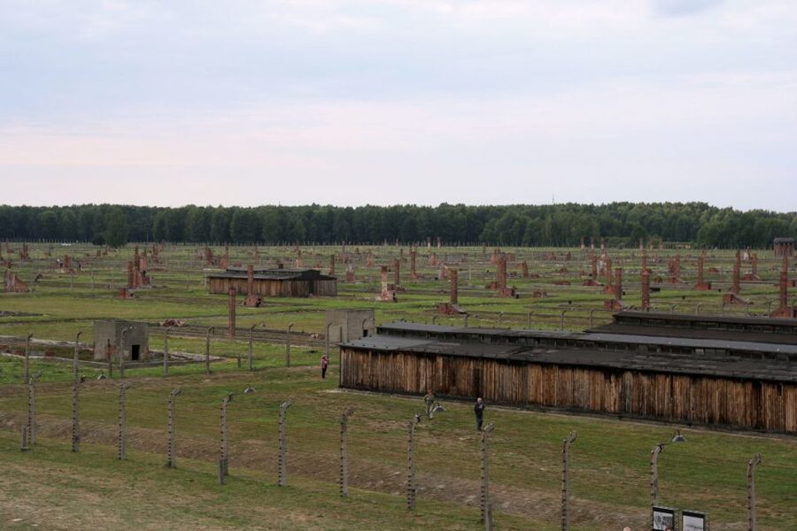 From Katowice: Auschwitz-Birkenau Skip-the-Line Guided Tour - Who This Tour Fits Best, and Who Should Rethink It