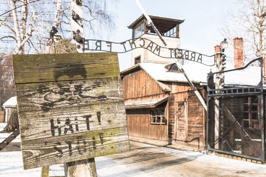 From Krakow: Auschwitz and Wieliczka Salt Mine Full-Day Trip - Understanding the Memory: What the Day Teaches You as You Walk