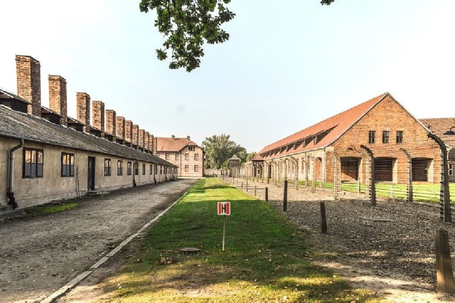 From Krakow: Auschwitz Birkenau and Salt Mine Guided Tour - Key things that make this tour work