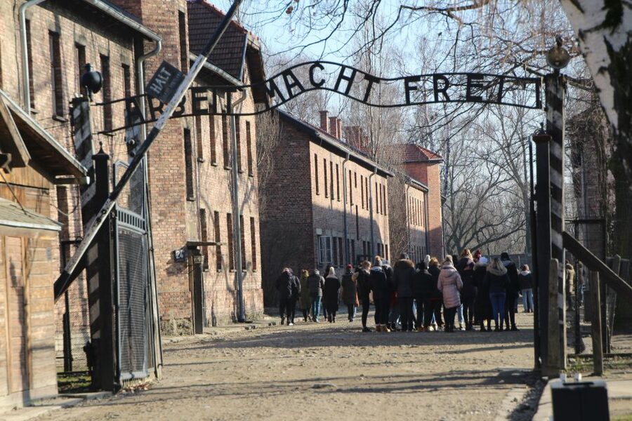 From Krakow: Auschwitz-Birkenau and Self-Guided Day Tour - Key points before you go