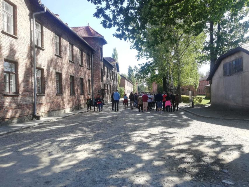 From Krakow: Auschwitz-Birkenau and Self-Guided Day Tour - Auschwitz II-Birkenau: the scale, the silence, and the 40-minute reality check