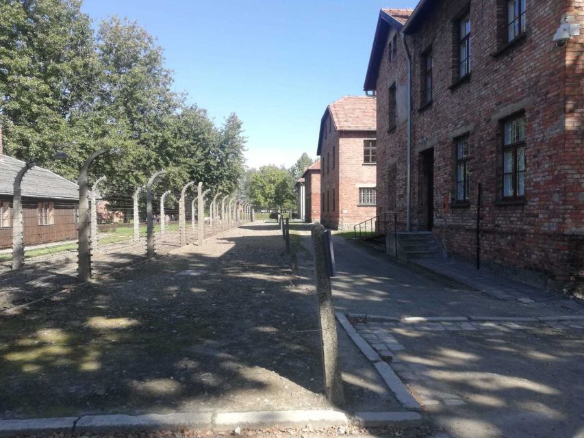 From Krakow: Auschwitz-Birkenau and Self-Guided Day Tour - Transportation and timing: comfort is nice, but don’t plan a late-night recovery