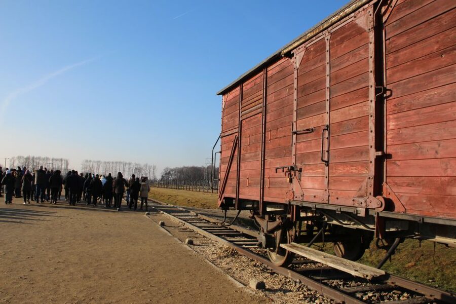 From Krakow: Auschwitz-Birkenau and Self-Guided Day Tour - Price and value: how $21 makes sense for this day