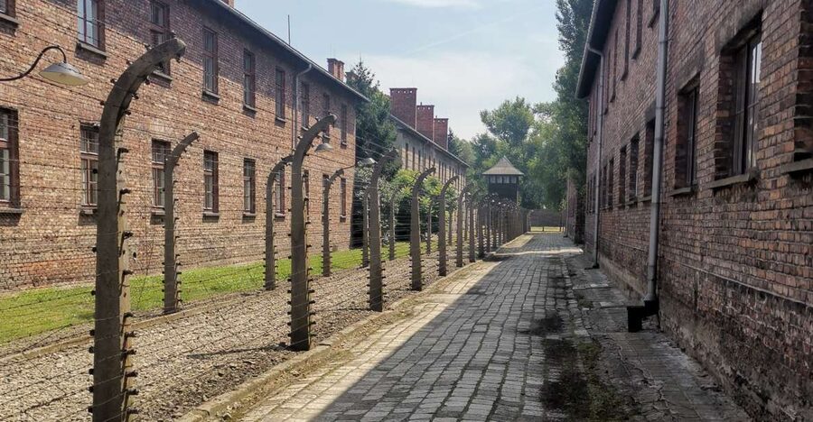 From Krakow: Auschwitz-Birkenau Camp Complex Guided Day Trip - Key highlights that make this trip worth it