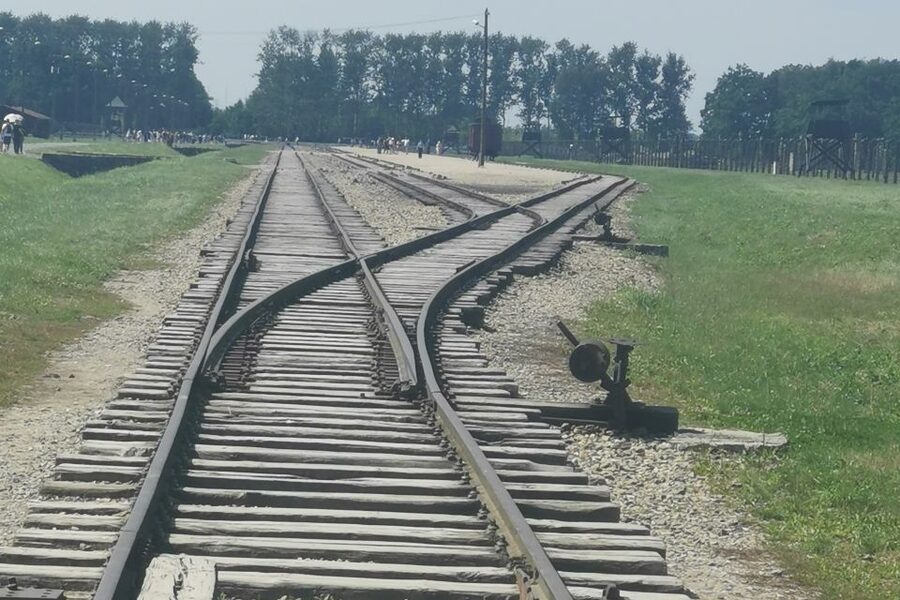 From Krakow: Auschwitz-Birkenau Camp Complex Guided Day Trip - Food not included: plan your energy for a full memorial day