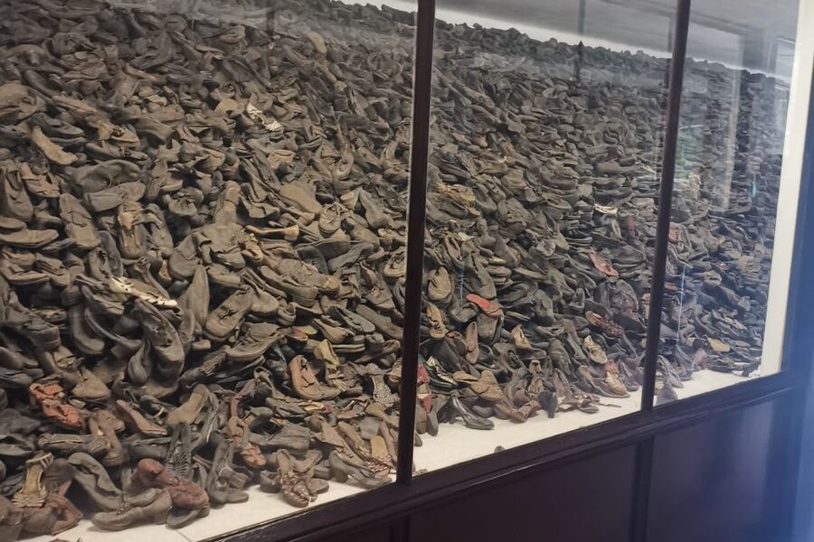 From Krakow: Auschwitz-Birkenau Camp Complex Guided Day Trip - Prisoner blocks: artifacts that turn statistics into faces