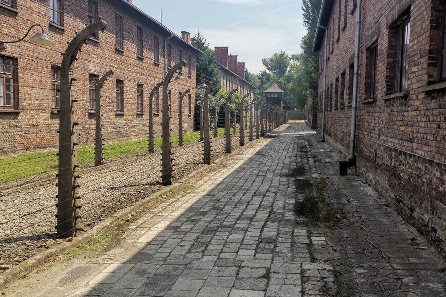 From Krakow: Auschwitz-Birkenau Camp Complex Guided Day Trip - Auschwitz to Birkenau: a short transfer to the sites tied to death and disposal