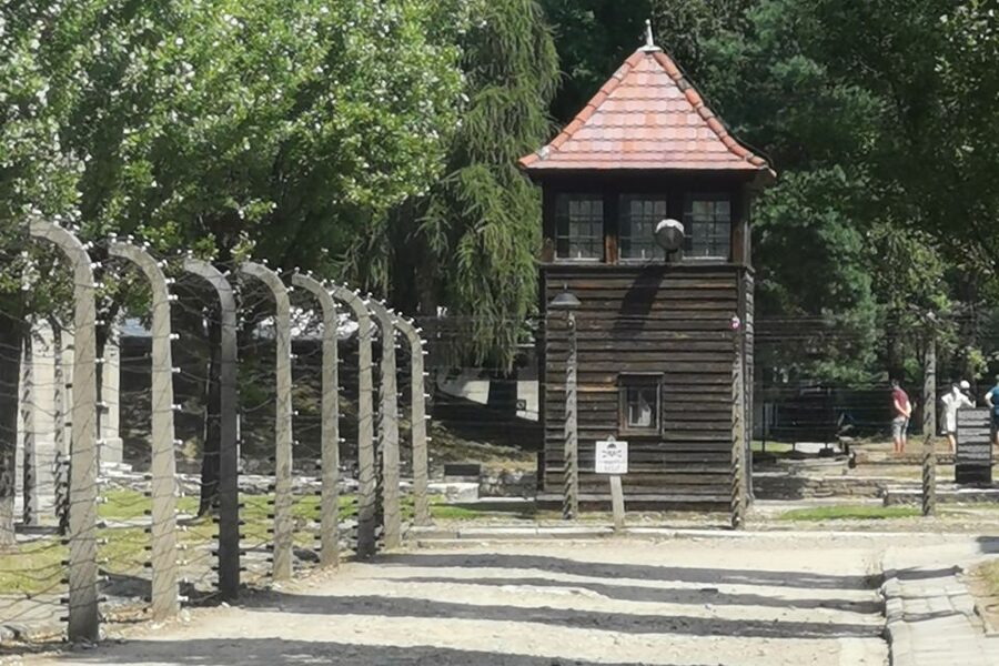 From Krakow: Auschwitz-Birkenau Camp Complex Guided Day Trip - Memorial time at Birkenau: how the tour helps you reflect, not just look