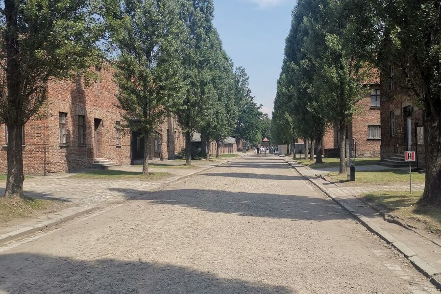 From Krakow: Auschwitz-Birkenau Camp Complex Guided Day Trip - What to bring, what to skip, and what site rules mean for your day