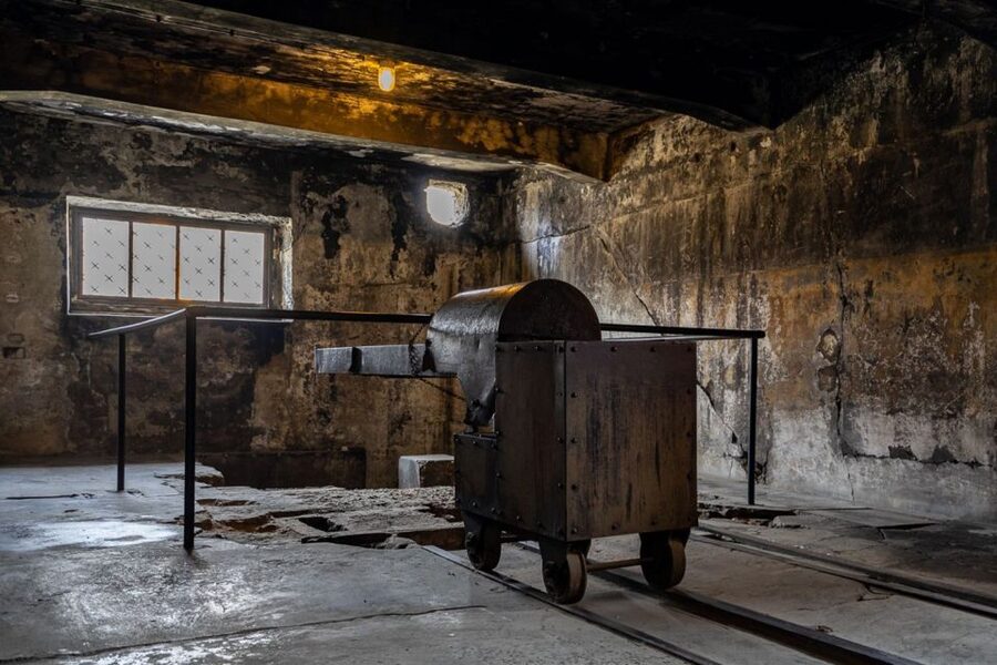 From Krakow: Auschwitz-Birkenau Full-Day Guided Tour - How the guide and headsets shape the experience