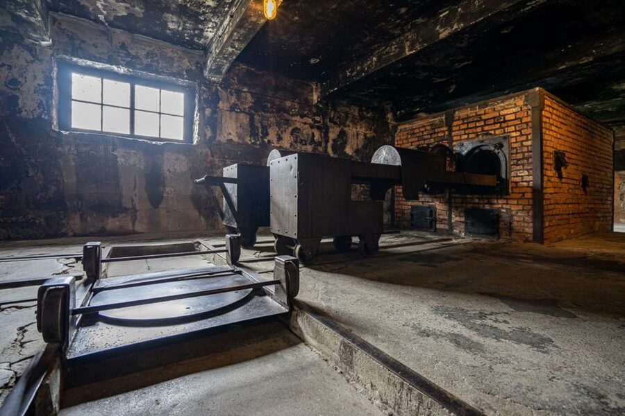 From Krakow: Auschwitz-Birkenau Full-Day Guided Tour - Time, breaks, and museum pacing you cannot control