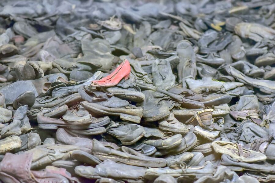 From Krakow: Auschwitz-Birkenau Full-Day Guided Tour - Price and value at $89: what you get for the money