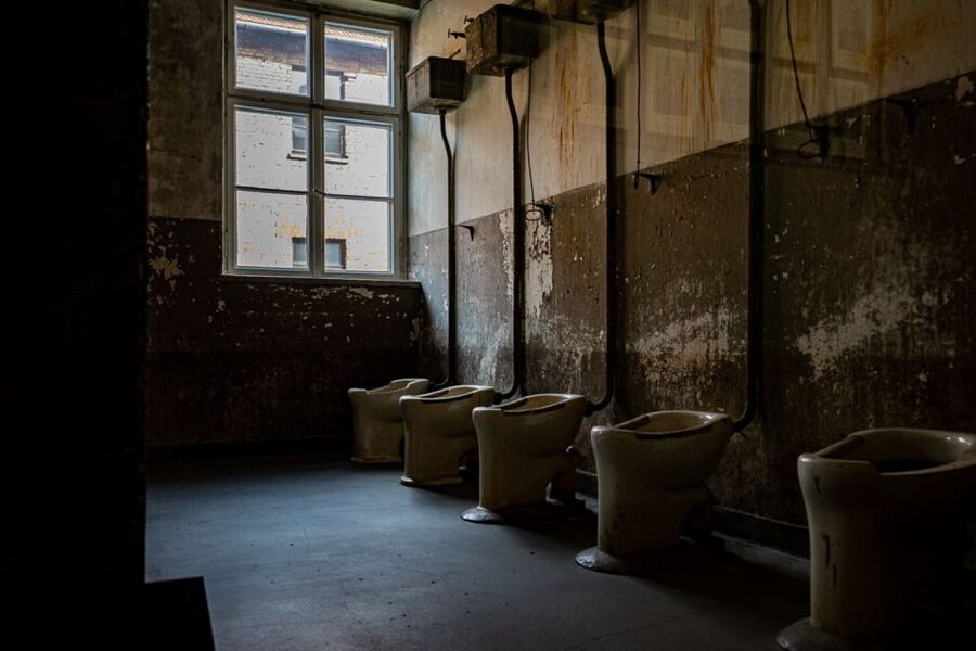 From Krakow: Auschwitz-Birkenau Full-Day Guided Tour - From Krakow by air-conditioned minivan, and how the day starts