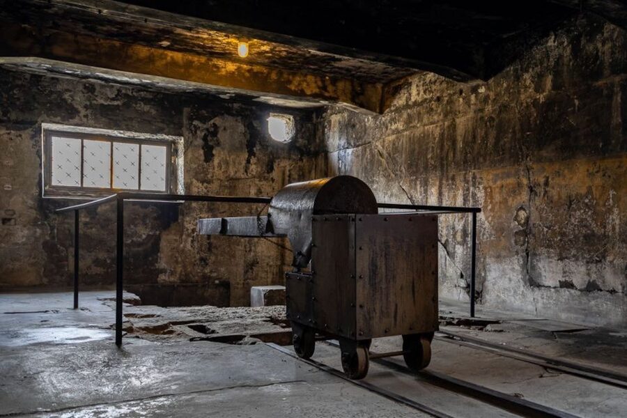 From Krakow: Auschwitz-Birkenau Full-Day Tour - Auschwitz-Birkenau in One Day From Krakow: What 7 Hours Actually Means