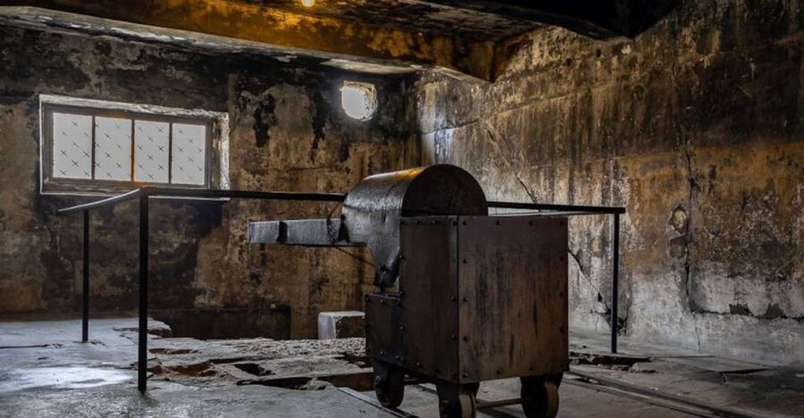 From Krakow: Auschwitz-Birkenau Full-Day Tour - Getting From Krakow to the Memorial: Pickup, Driver, and Comfort