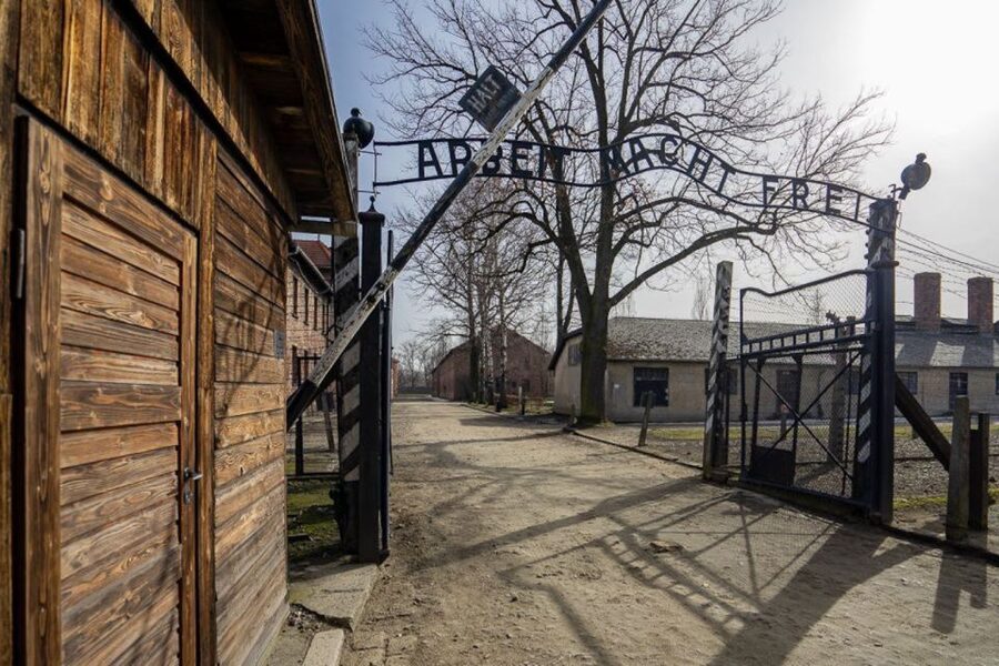 From Krakow: Auschwitz-Birkenau Full-Day Tour - Who This Auschwitz Day Trip Fits Best
