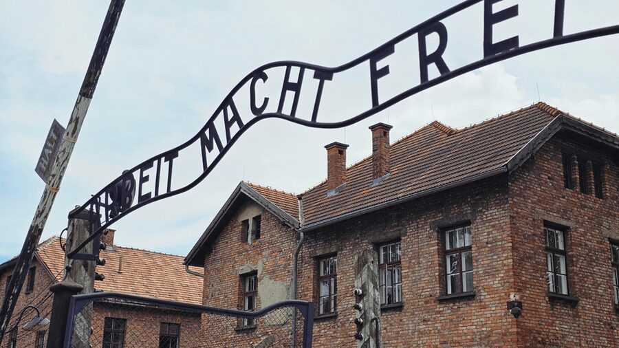 From Krakow: Auschwitz-Birkenau Guided Tour Guaranteed Time - Key things to know before you go