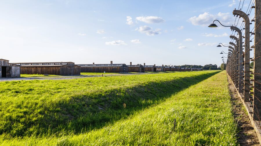 From Krakow: Auschwitz-Birkenau Guided Tour Guaranteed Time - Who This Tour Fits Best (And Who Should Rethink It)
