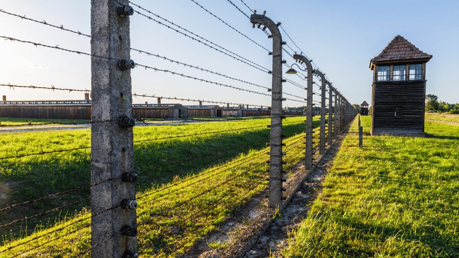 From Krakow: Auschwitz-Birkenau Guided Tour Guaranteed Time - Why This Auschwitz-Birkenau Trip From Krakow Feels Worth It