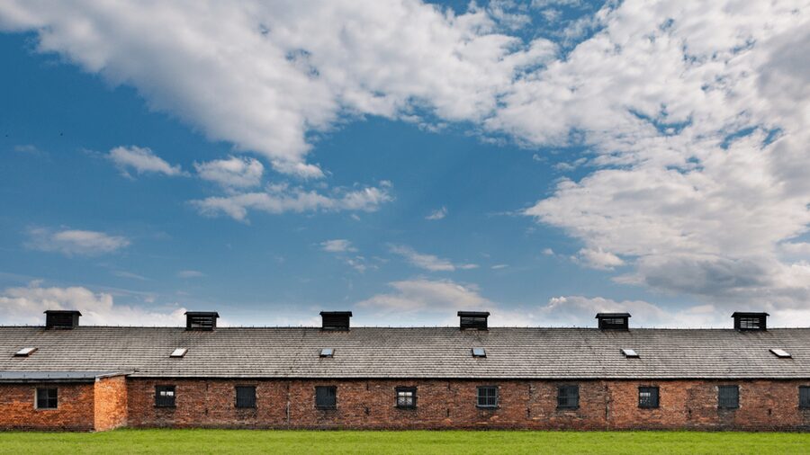 From Krakow: Auschwitz-Birkenau Guided Tour Guaranteed Time - Price and Value: What $53 Buys You (And What It Does Not)