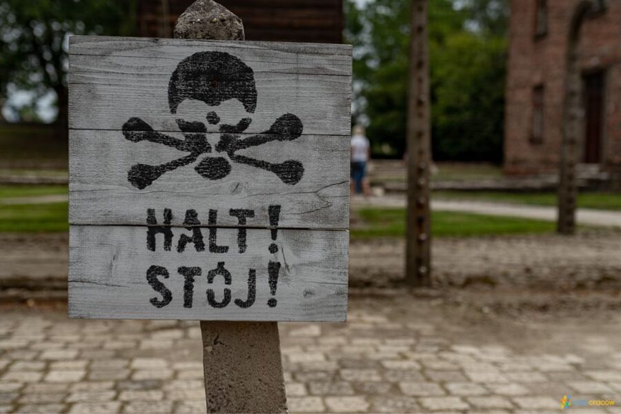 From Krakow: Auschwitz-Birkenau Guided Tour Guaranteed Time - What to Bring, Wear, and Plan For Inside the Memorial