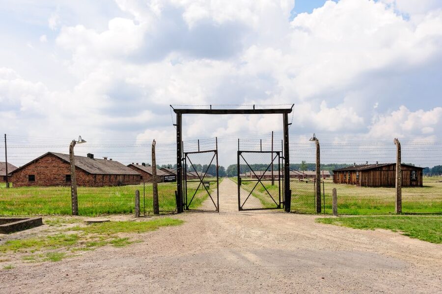 From Krakow: Auschwitz-Birkenau Guided Tour & Hotel Pickup - Who this tour fits best, and who should reconsider