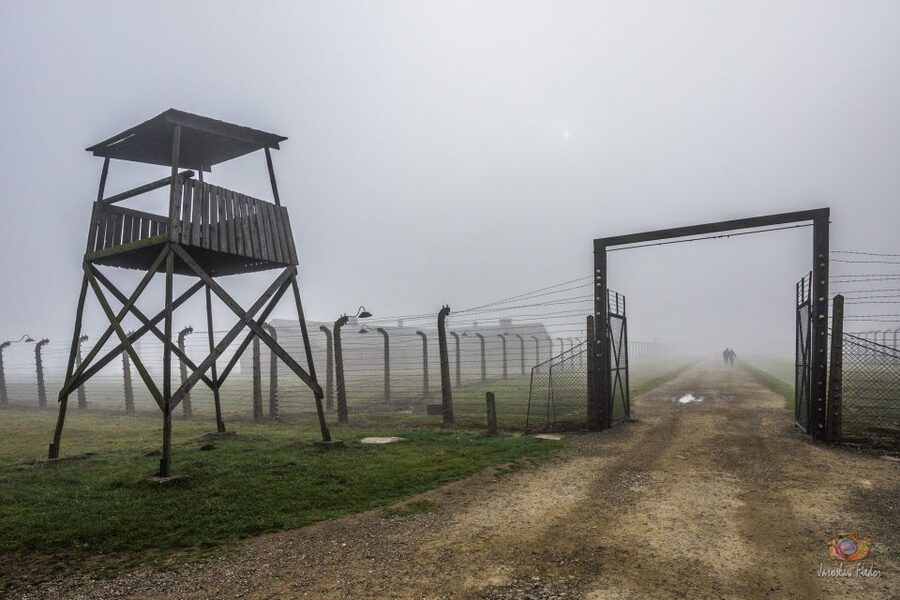 From Krakow: Auschwitz-Birkenau Guided Tour & Pickup - Who this Auschwitz-Birkenau guided tour is best for