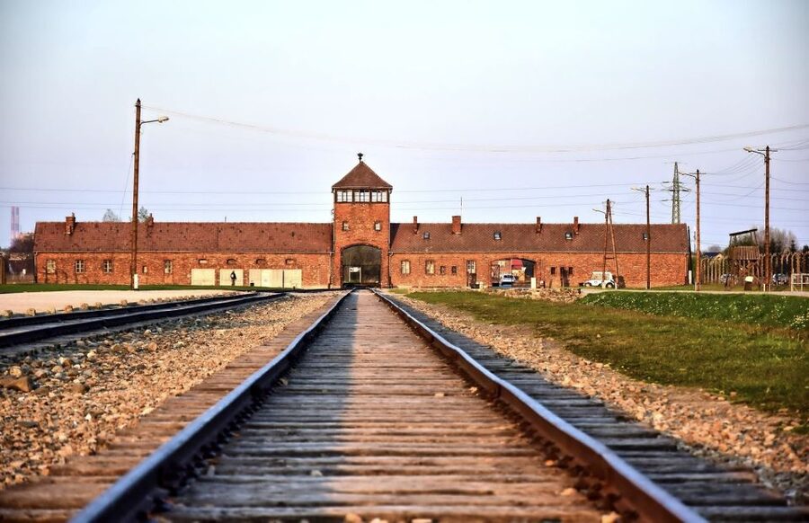 From Krakow: Auschwitz-Birkenau Guided Tour & Pickup - The short transfer between camps, and how the day stays organized