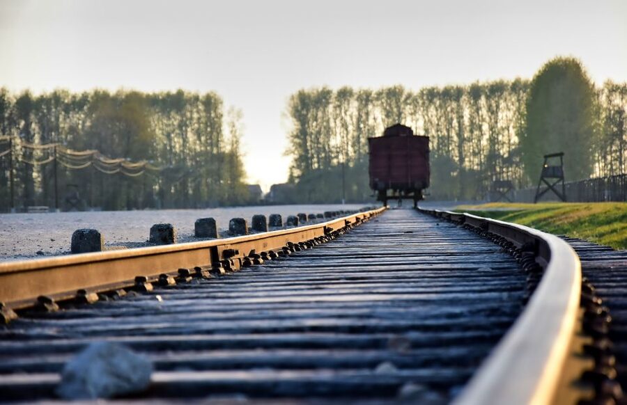 From Krakow: Auschwitz-Birkenau Guided Tour & Pickup - The value at around $10, and what you get for it