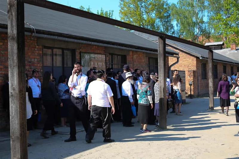 From Krakow: Auschwitz-Birkenau Guided Tour & Pickup Options - Auschwitz-Birkenau from Krakow, in a tight 7-hour window