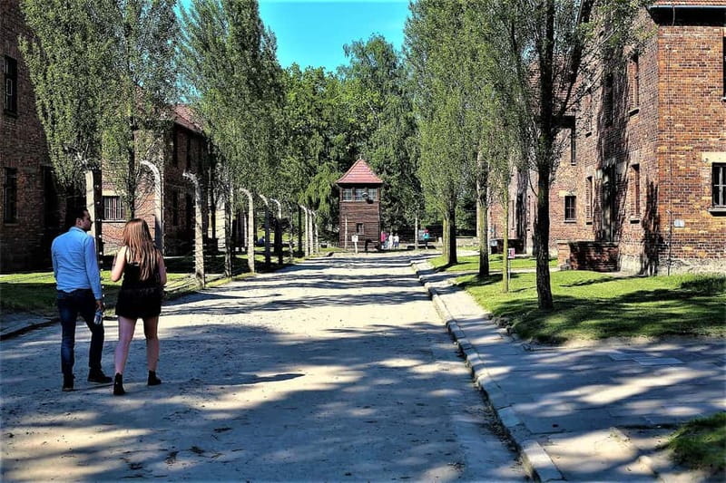 From Krakow: Auschwitz-Birkenau Guided Tour & Pickup Options - The guide setup: local guide plus a professional art historian (in English)