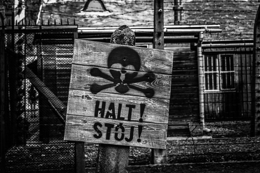 From Krakow: Auschwitz-Birkenau Guided Tour & Transport - What to pack: shoes, ID, and the no-luggage reality